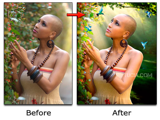 Photoshop Beautification - Lighting, Birds, Color